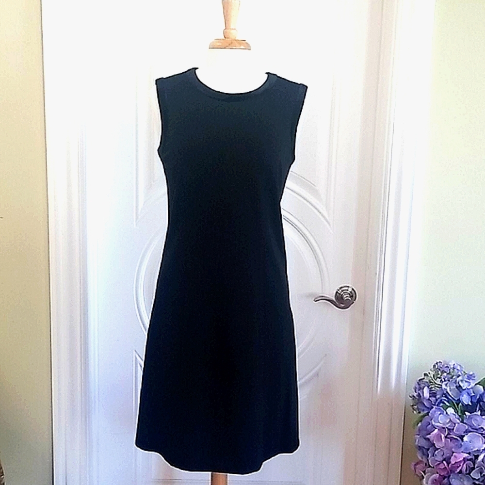💙Basler Dress w/ Velvet Detail